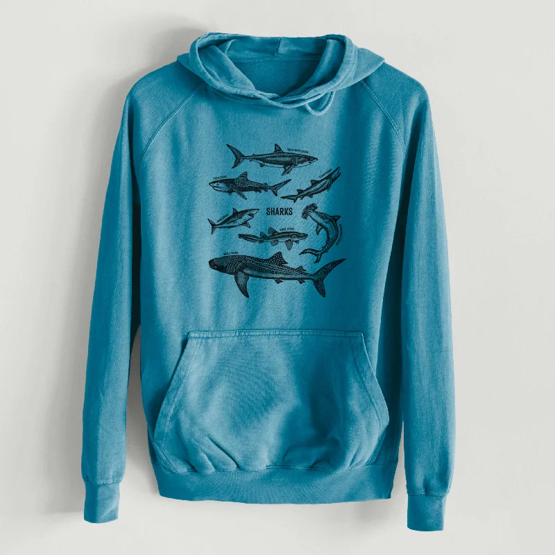 Shark Chart - Mid-Weight Unisex Vintage 100% Cotton Hoodie Hoodie with Sequins Glamorous Eye-catching Hoodie with Sequins Glamorous Eye-catching Shark Chart - Mid-Weight Unisex Vintage 100% Cotton Hoodie Hoodie with Sequins Glamorous Eye-catching Hoodie with Sequins Glamorous Eye-catching